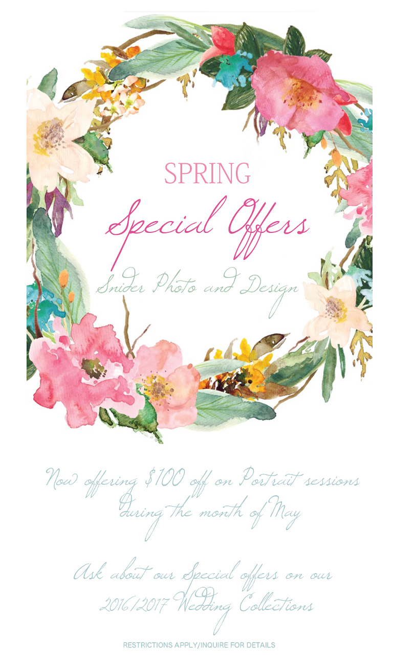 Spring offer 2016 blog